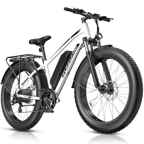 Best Electric Bike for Rv