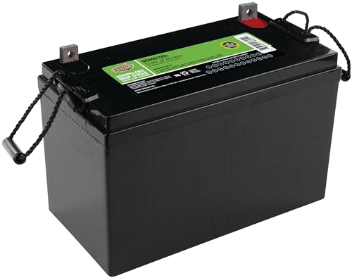 Best Group 29 Deep Cycle Battery