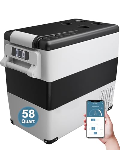 Best Refrigerator for Camper Van