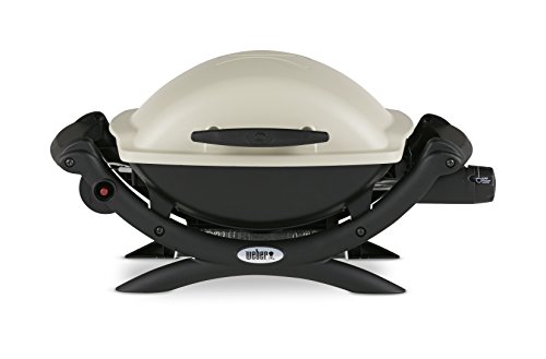 Best Rv Grill With Quick Connect
