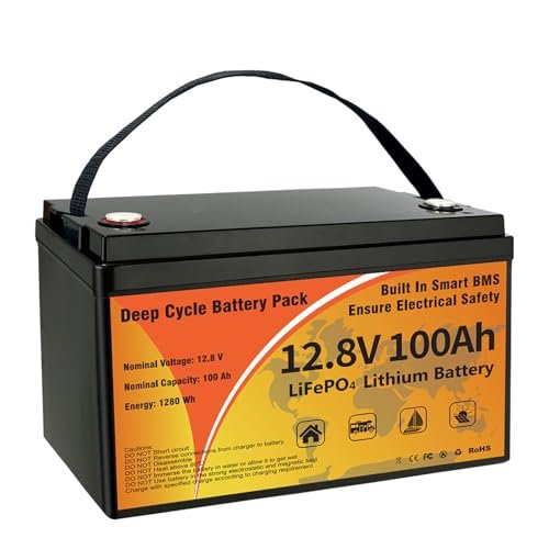 Best 100Ah Lifepo4 Battery
