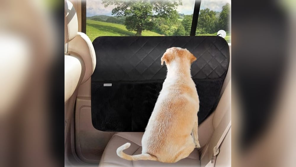 Best Car Door Protector for Dogs