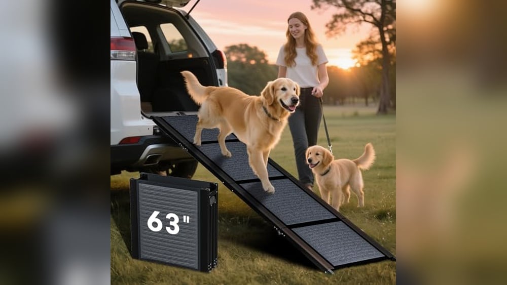 Best Dog Car Ramp for Labrador